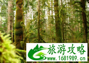 新西兰有哪些景点 新西兰旅游攻略 新西兰有哪些景点 新西兰旅游攻略