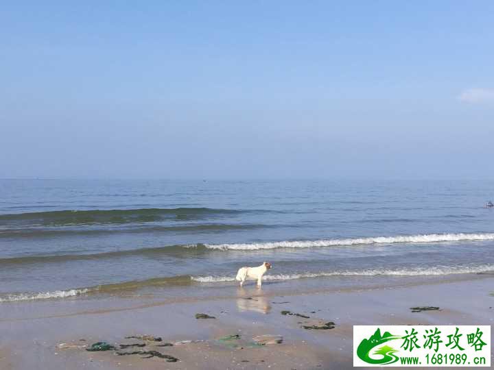 越南自由行旅游攻略以及注意事项 越南自由行旅游攻略以及注意事项