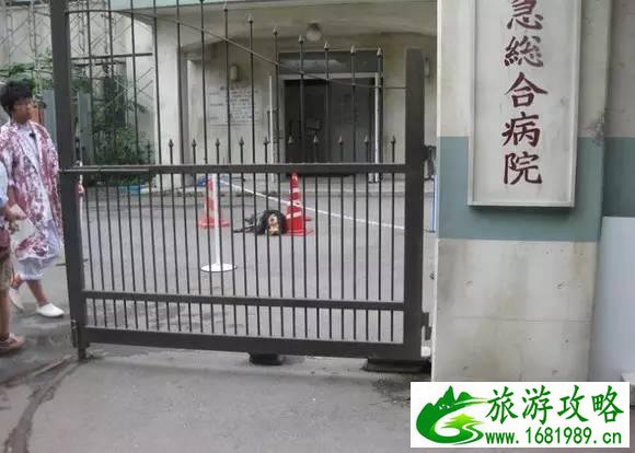 富士急鬼屋三楼吓人吗 富士急鬼屋在哪 富士急鬼屋三楼吓人吗 富士急鬼屋在哪
