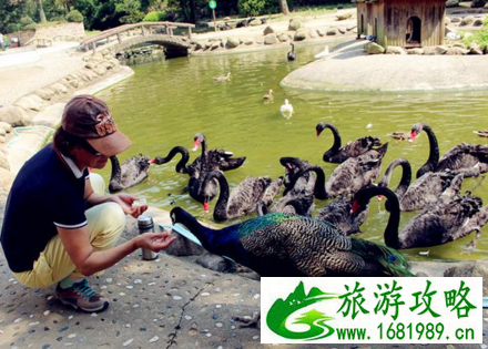 南湾湖风景区旅游攻略 南湾湖风景区门票是是多少 南湾湖风景区旅游攻略 南湾湖风景区门票是是多少