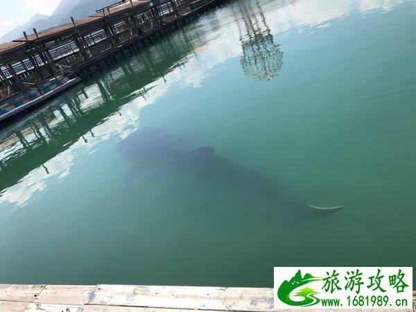 三亚亲子游五天游攻略