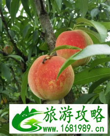 福安市穆云乡旅游攻略