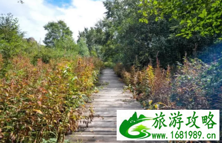 北京旅游攻略自助游 北京旅游攻略自助游