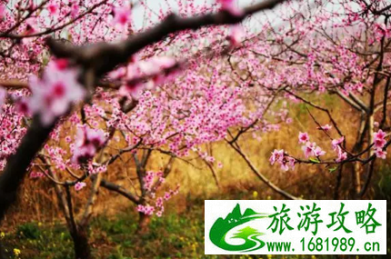 德阳旅游攻略  四川德阳旅游景点大全
