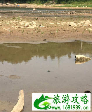宁波鸣鹤古镇+上林湖自助游攻略 宁波鸣鹤古镇+上林湖自助游攻略