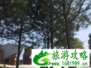 宁波鸣鹤古镇+上林湖自助游攻略 宁波鸣鹤古镇+上林湖自助游攻略