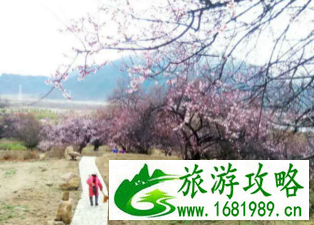林芝旅游攻略 林芝旅游最佳季节