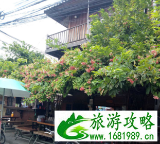 泰国旅游最好的地方是哪里 泰国旅游最好的地方是哪里