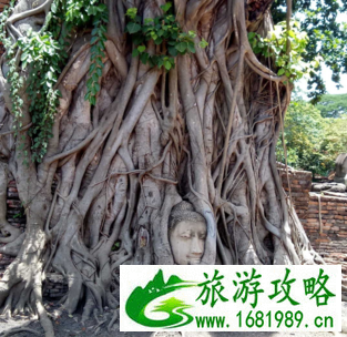 泰国旅游最好的地方是哪里 泰国旅游最好的地方是哪里