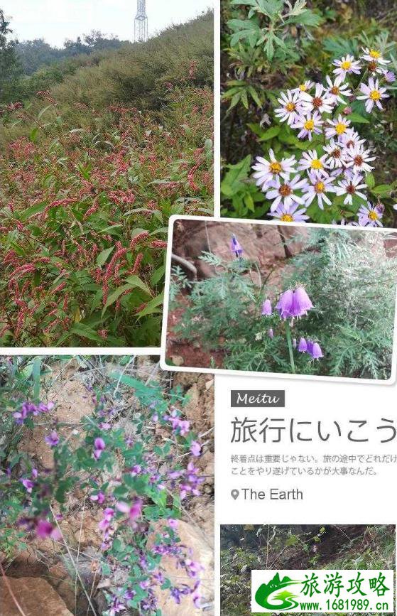 韶山一日游旅游攻略 韶山一日游旅游攻略