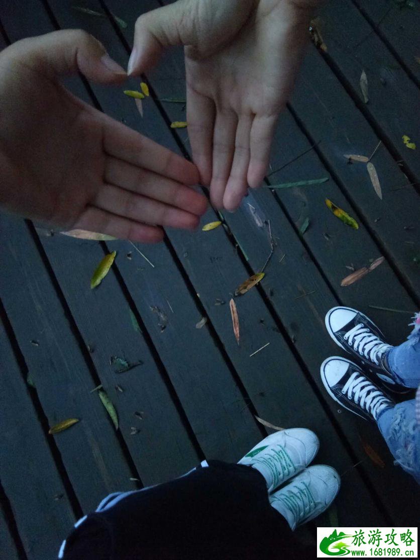 十里河滩湿地公园门票价格多少钱 十里河滩湿地公园门票价格多少钱