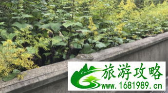 泸定旅游攻略 泸定骑车游记