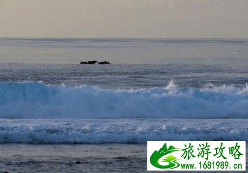 去马尔代夫需要注意什么  马尔代夫自助游攻略