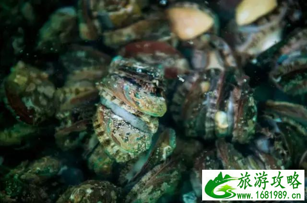涠洲岛自由行旅游攻略