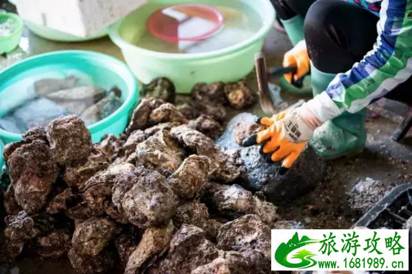 涠洲岛自由行旅游攻略