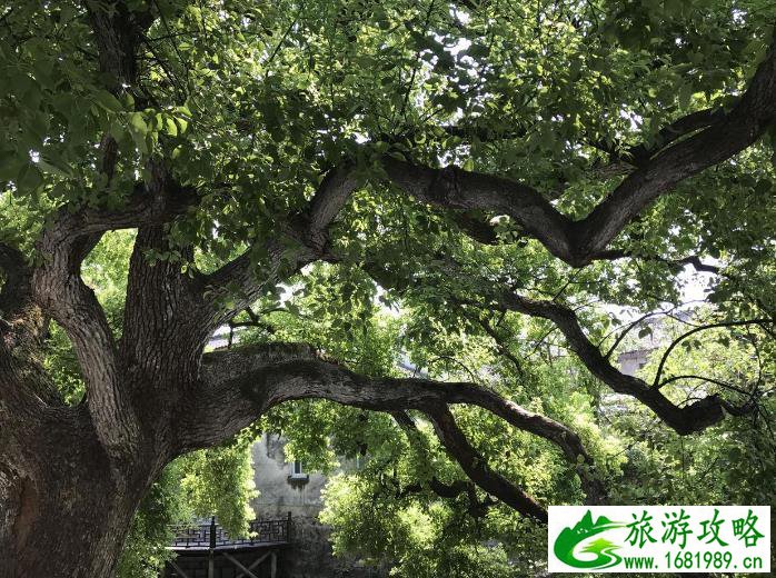 马鸣古镇旅游攻略 马鸣古镇旅游攻略