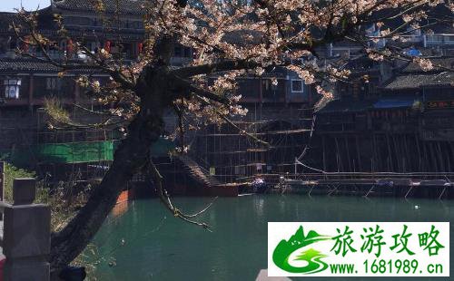 凤凰古城游记作文随笔600字 凤凰古城游记作文随笔600字