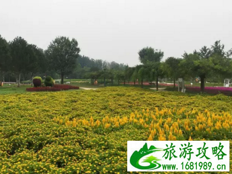 北京哪里有花海 北京花海在哪个地方