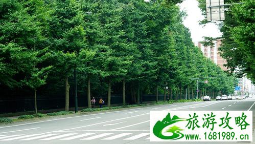 北海道旅游住宿攻略+交通攻略 北海道旅游住宿攻略+交通攻略