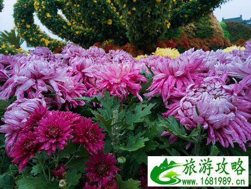 开封旅游攻略自助游 开封旅游攻略自助游