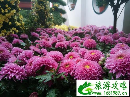 开封旅游攻略自助游 开封旅游攻略自助游