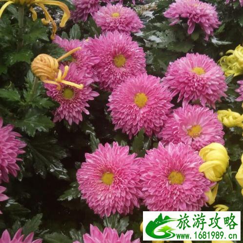 开封旅游攻略自助游 开封旅游攻略自助游