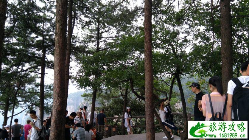 张家界天子山停车场在哪 停车位多吗 张家界天子山停车场在哪 停车位多吗