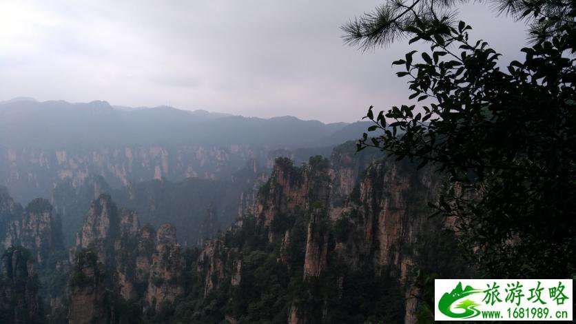 张家界天子山停车场在哪 停车位多吗 张家界天子山停车场在哪 停车位多吗