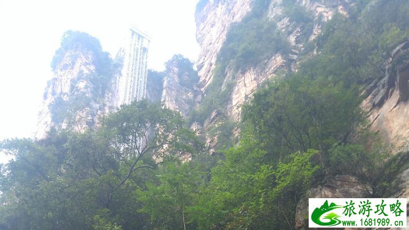 张家界天子山停车场在哪 停车位多吗 张家界天子山停车场在哪 停车位多吗