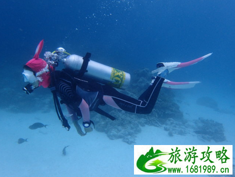 密度帕茹岛怎么样 密度帕茹岛旅游攻略 密度帕茹岛怎么样 密度帕茹岛旅游攻略