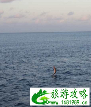 奥臻岛怎么样 奥臻岛旅游住宿攻略