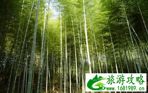 青春旅社拍摄地在哪里