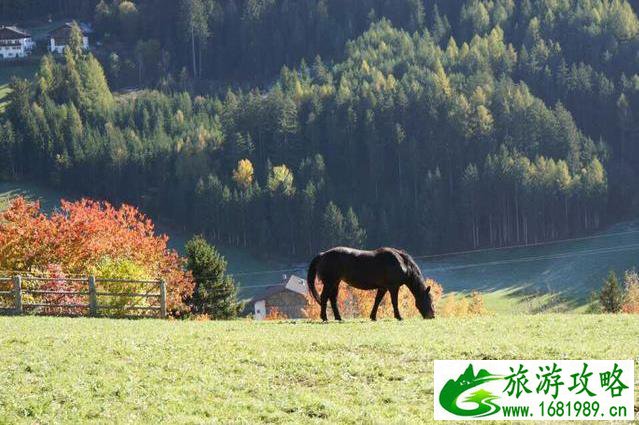 房车旅行游记 房车旅行装备 房车旅行游记 房车旅行装备