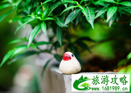 泰国有哪些好玩的 泰国有那些美食 泰国有哪些好玩的 泰国有那些美食