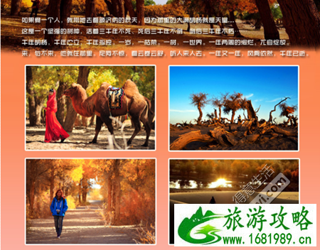 额济纳胡杨林旅游线路+住宿攻略 额济纳胡杨林旅游线路+住宿攻略