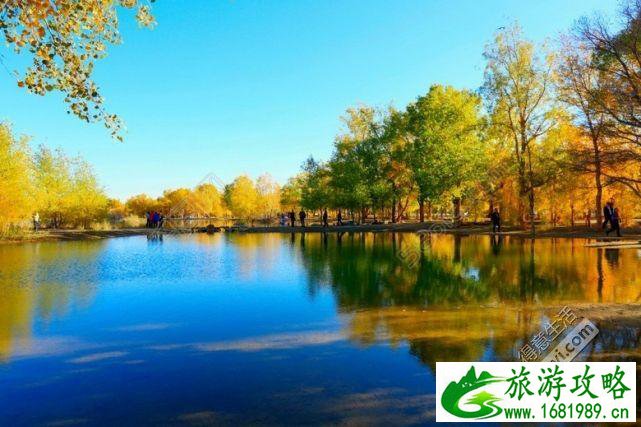 额济纳胡杨林旅游线路+住宿攻略 额济纳胡杨林旅游线路+住宿攻略