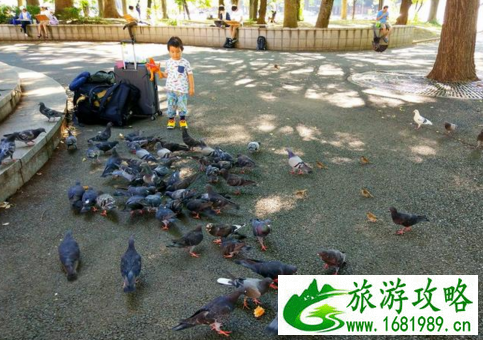 上野公园旅游 上野公园攻略 上野公园旅游 上野公园攻略