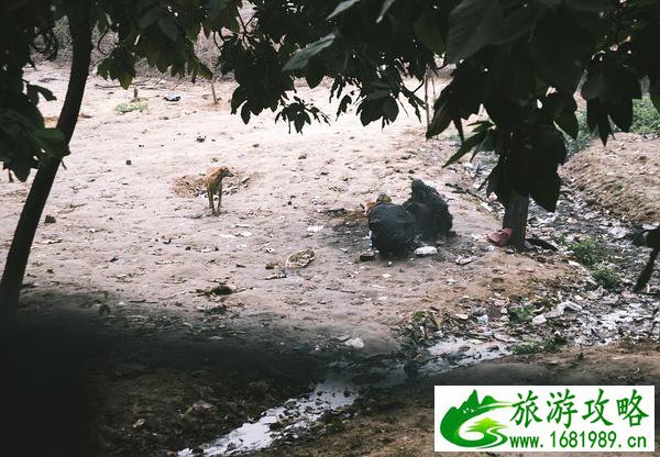 新德里旅游攻略 新德里旅游注意事项 新德里旅游攻略 新德里旅游注意事项