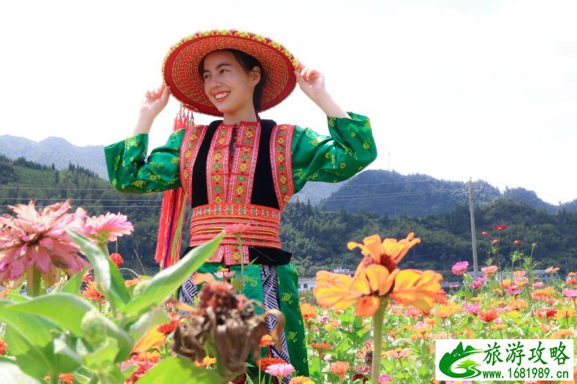 枫香瑶寨在哪 枫香瑶寨好玩吗 门票+电话攻略 枫香瑶寨在哪 枫香瑶寨好玩吗 门票+电话攻略