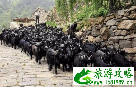 李家石屋村票价是多少  李家石屋村在哪里