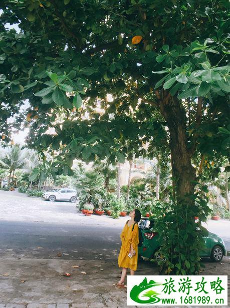 越南12日游攻略 越南四日游景点路线+多少钱价格 越南12日游攻略 越南四日游景点路线+多少钱价格