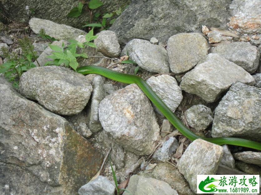 武功山自由行攻略 武功山门票免费2017 武功山自由行攻略 武功山门票免费2017
