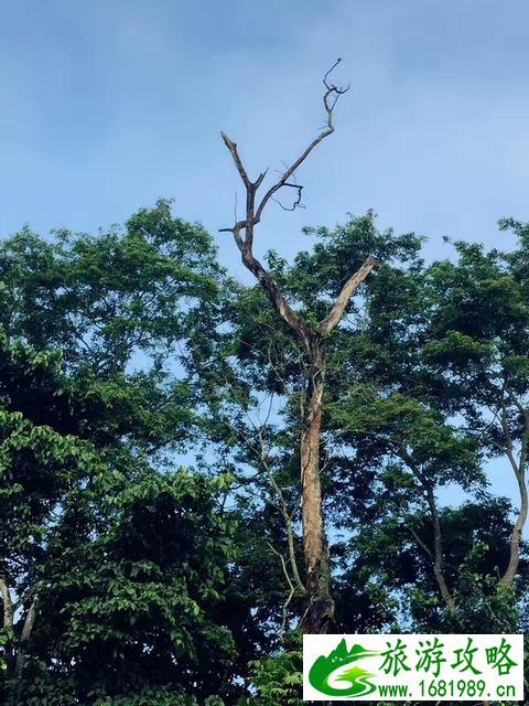 尼泊尔旅游安全吗 尼泊尔最近旅游安全吗 尼泊尔旅游安全吗 尼泊尔最近旅游安全吗