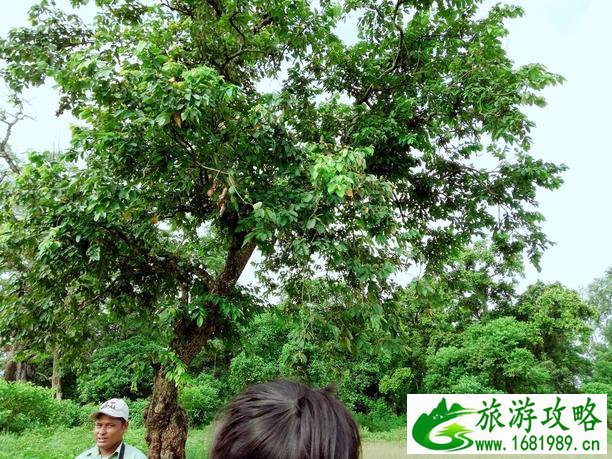 尼泊尔旅游安全吗 尼泊尔最近旅游安全吗 尼泊尔旅游安全吗 尼泊尔最近旅游安全吗