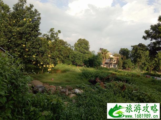 尼泊尔旅游安全吗 尼泊尔最近旅游安全吗 尼泊尔旅游安全吗 尼泊尔最近旅游安全吗