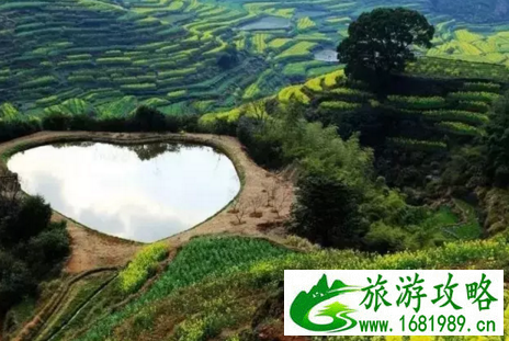 婺源篁岭门票多少 婺源篁岭旅游攻略 婺源篁岭门票多少 婺源篁岭旅游攻略