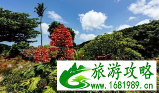度蜜月去国外哪里好 度蜜月旅行地最佳排行榜 度蜜月去国外哪里好 度蜜月旅行地最佳排行榜