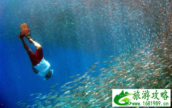 度蜜月去国外哪里好 度蜜月旅行地最佳排行榜 度蜜月去国外哪里好 度蜜月旅行地最佳排行榜