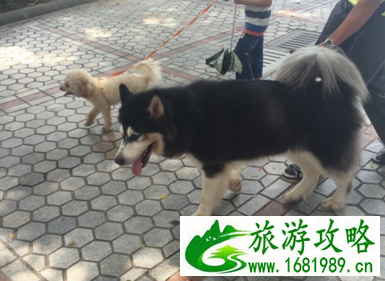 厦门旅游攻略 厦门旅游景点有哪些 厦门旅游攻略 厦门旅游景点有哪些