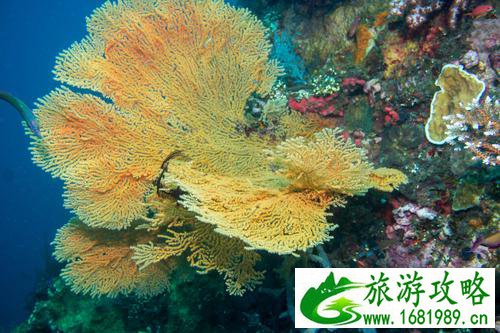 2022年巴厘岛旅游攻略+注意事项 2022年巴厘岛旅游攻略+注意事项